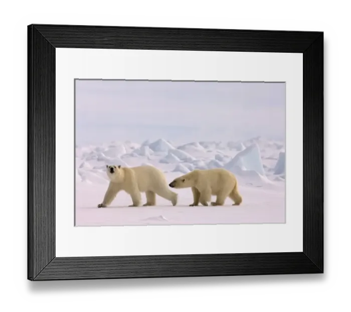 Framed Print : USA, North America, Alaska