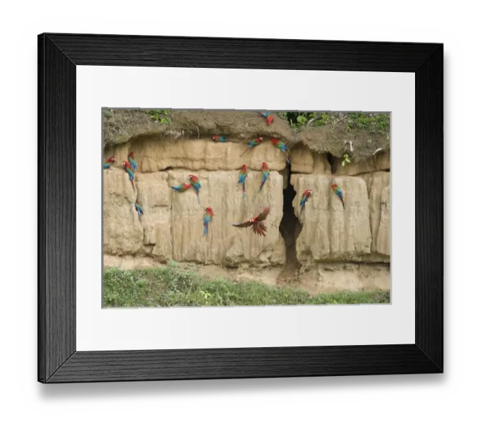 Framed Print : 20100718_hg_3635. dng