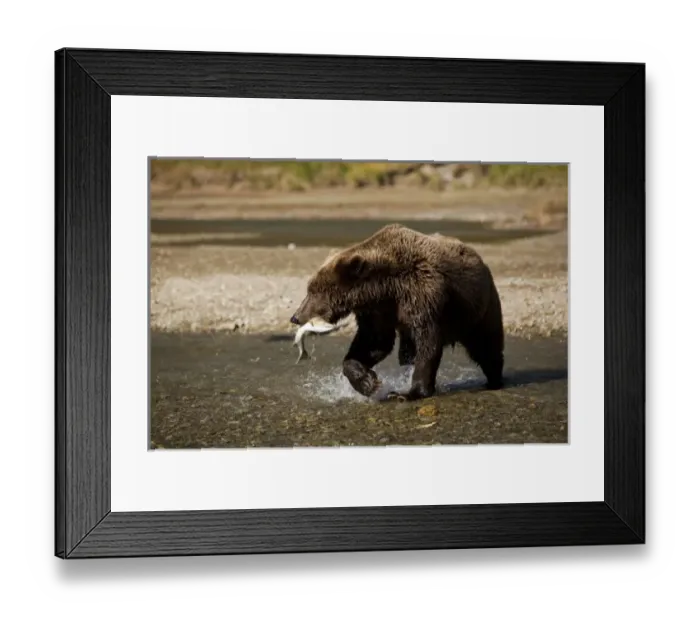 Framed Print : USA, North America, Alaska