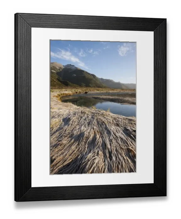 Framed Print : USA, North America, Alaska
