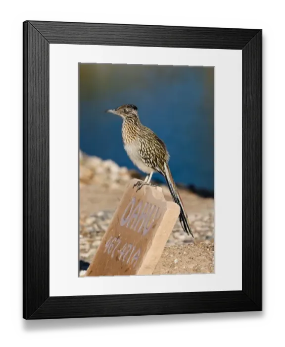 Framed Print : USA, North America, Alaska Framed Print : USA, North America, Alaska