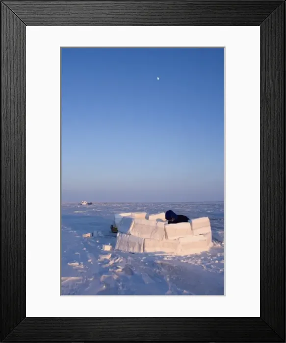 Framed Print : inupiat guide Bruce Inglangasak building an igloo snow blind, along the Arctic coast Framed Print : inupiat guide Bruce Inglangasak building an igloo snow blind, along the Arctic coast