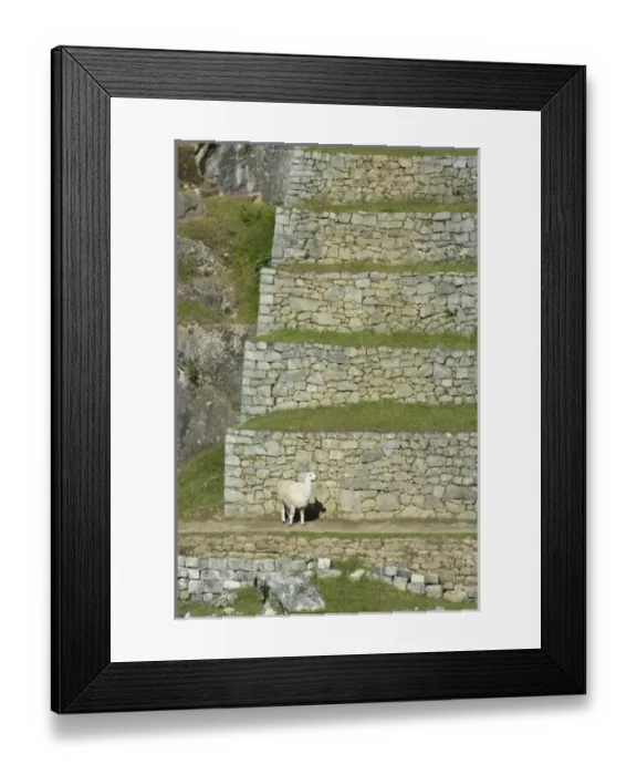 Framed Print : South America, Peru Framed Print : South America, Peru