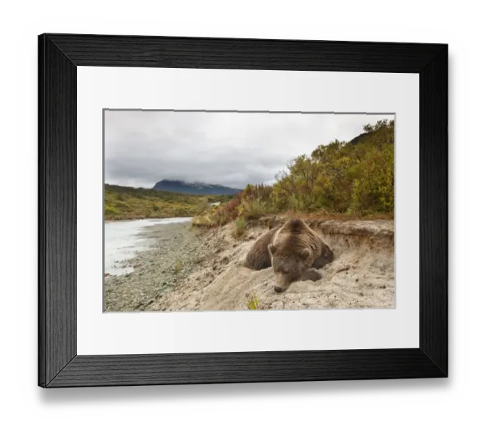Framed Print : USA, North America, Alaska Framed Print : USA, North America, Alaska