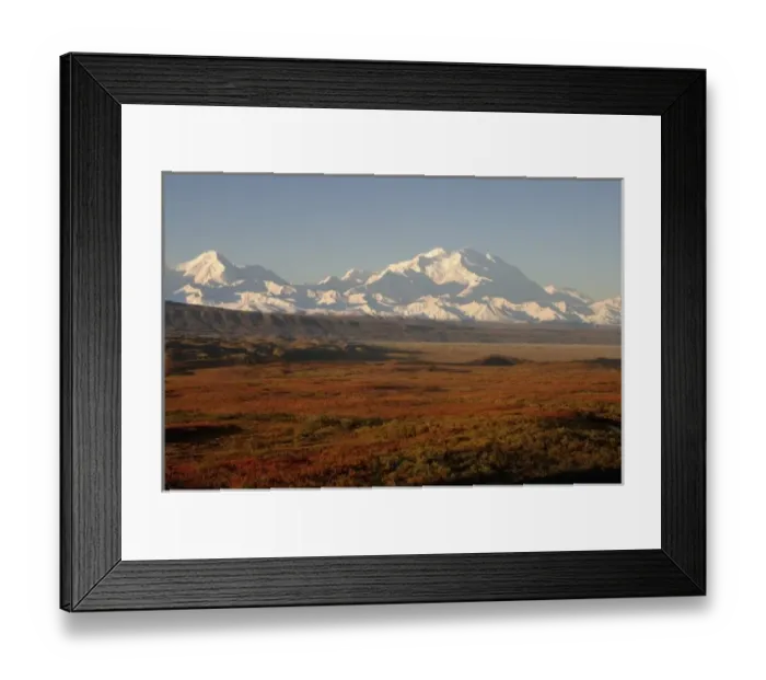Framed Print : mount McKinley, or Mount Denali, in Denali National Park, interior of Alaska