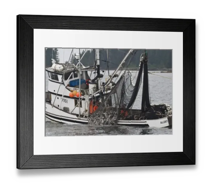 Framed Print : USA, North America, Alaska