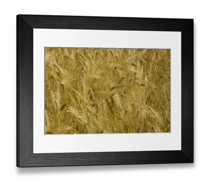 Framed Print : South America, Peru