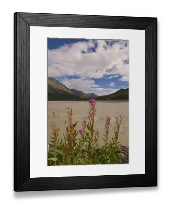 Framed Print : USA, North America, Alaska Framed Print : USA, North America, Alaska