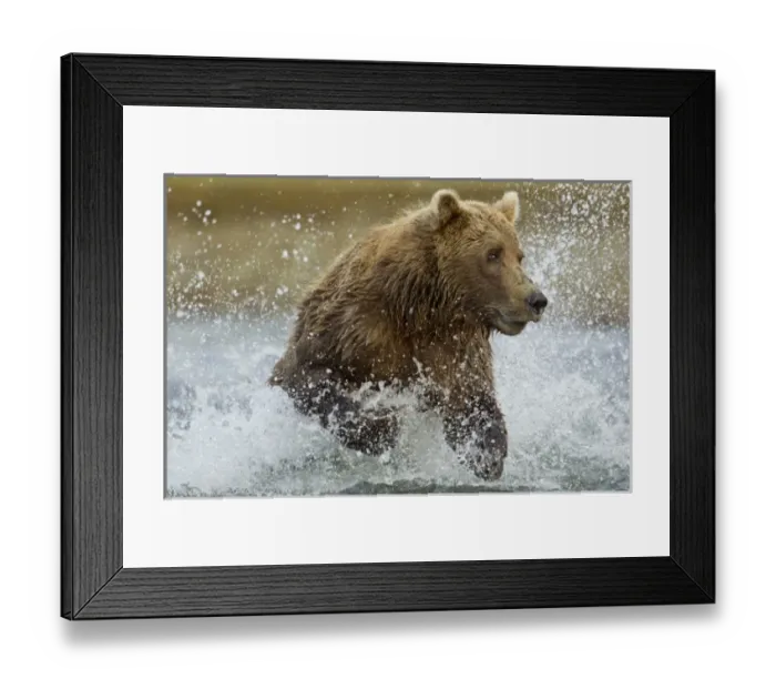 Framed Print : USA, North America, Alaska