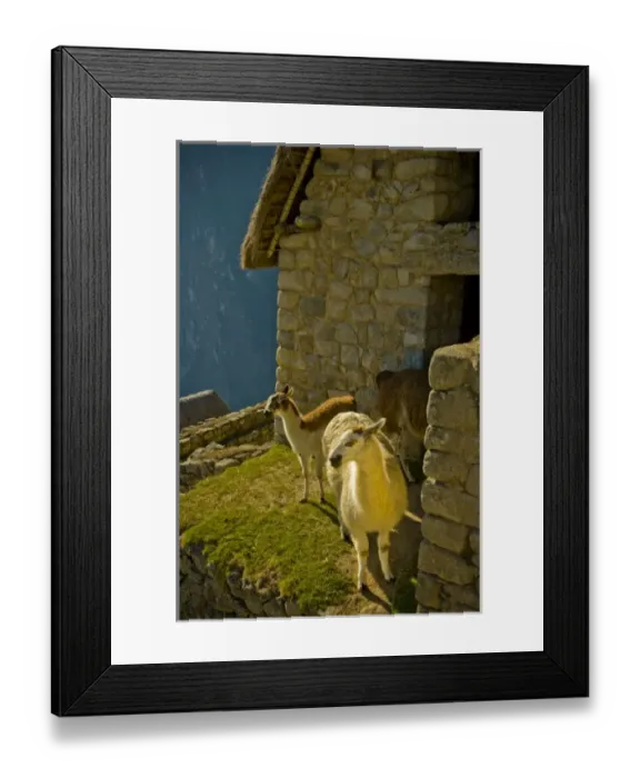 Framed Print : South America, Peru