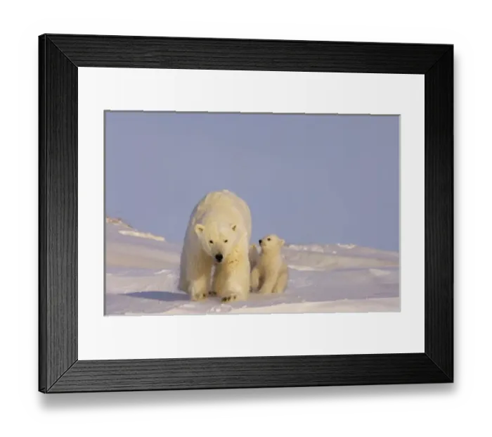 Framed Print : USA, North America, Alaska Framed Print : USA, North America, Alaska