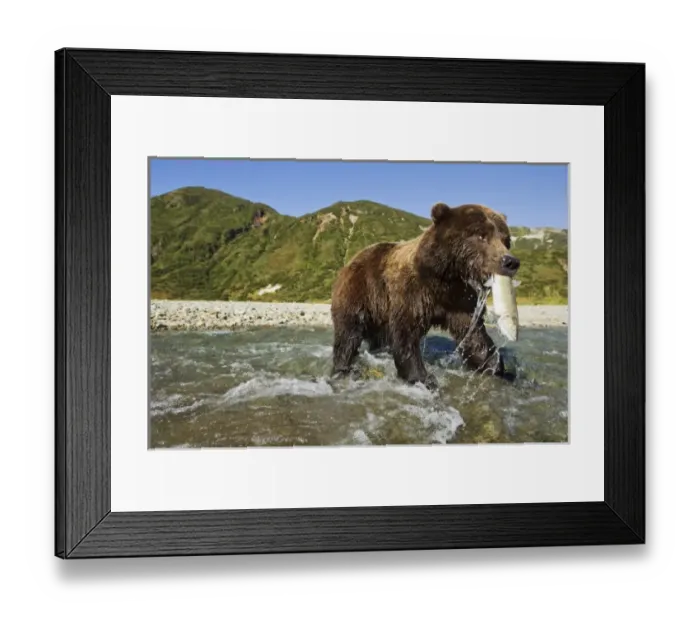 Framed Print : USA, North America, Alaska