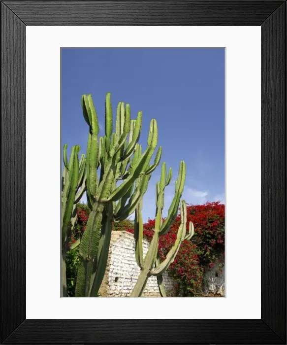Framed Print : South America, Peru, Pisco. Casa Hacienda San Jose, c. 1688, National Historic Monument