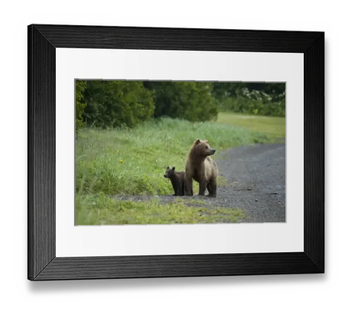 Framed Print : USA, North America, Alaska Framed Print : USA, North America, Alaska