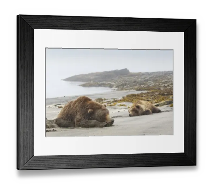 Framed Print : USA, North America, Alaska