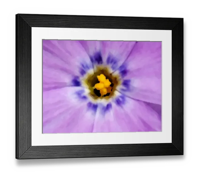 Framed Print : USA, Alaska, Artic National Wildlife Refuge, Kongakut River Valley, Abstract close-up