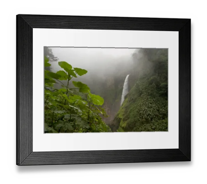 Framed Print : Central America, Costa Rica Framed Print : Central America, Costa Rica