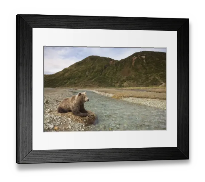 Framed Print : USA, North America, Alaska Framed Print : USA, North America, Alaska