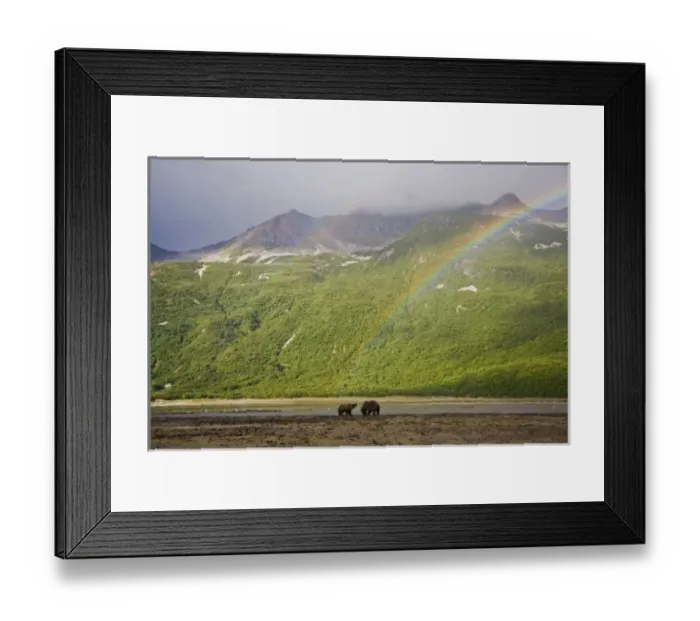 Framed Print : USA, North America, Alaska Framed Print : USA, North America, Alaska