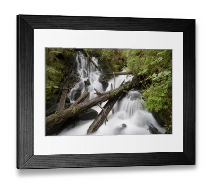 Framed Print : USA, North America, Alaska