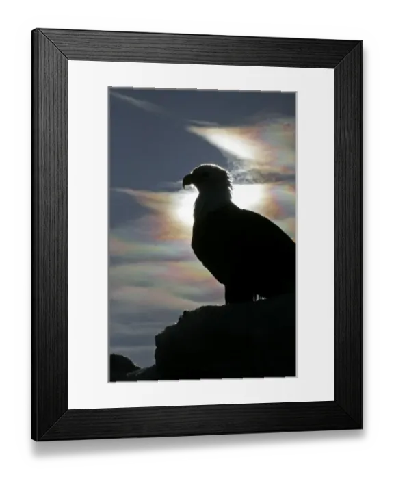 Framed Print : USA, North America, Alaska Framed Print : USA, North America, Alaska