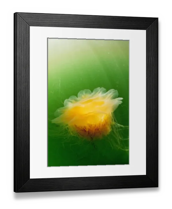 Framed Print : USA, North America, Alaska Framed Print : USA, North America, Alaska