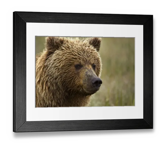 Framed Print : USA, North America, Alaska Framed Print : USA, North America, Alaska