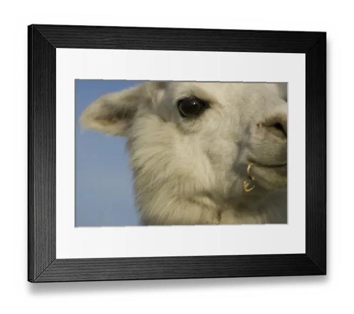 Framed Print : South America, Peru