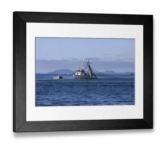 Framed Print : USA, Alaska, Southeast near Ketchikan, seine boats salmon fishing