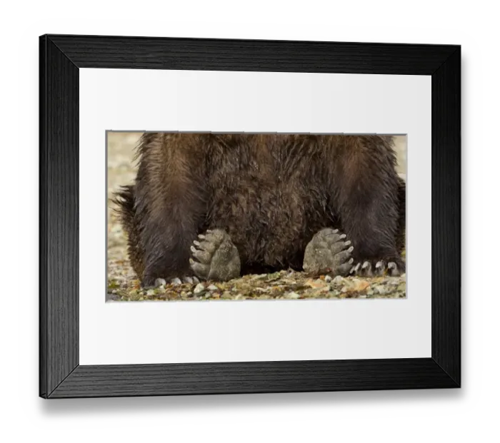 Framed Print : USA, North America, Alaska Framed Print : USA, North America, Alaska