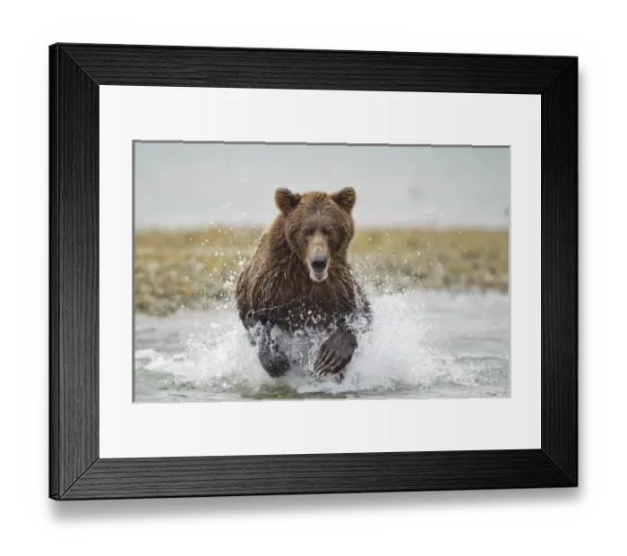 Framed Print : USA, North America, Alaska Framed Print : USA, North America, Alaska