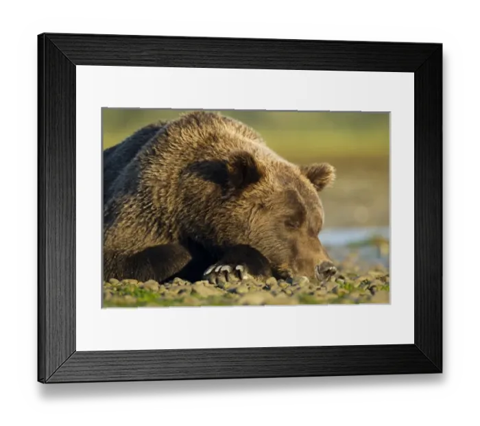 Framed Print : USA, North America, Alaska