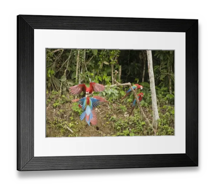 Framed Print : South America, Peru Framed Print : South America, Peru