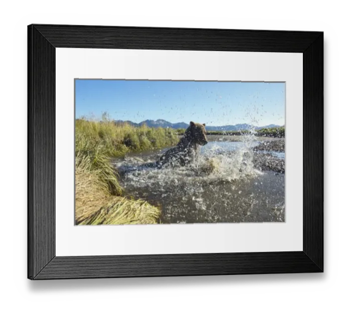 Framed Print : USA, North America, Alaska Framed Print : USA, North America, Alaska