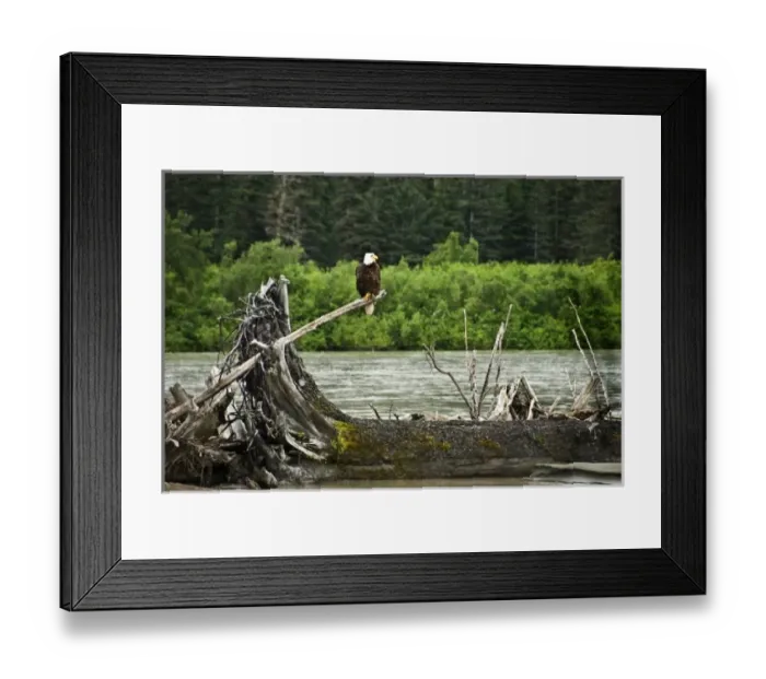 Framed Print : USA, North America, Alaska Framed Print : USA, North America, Alaska