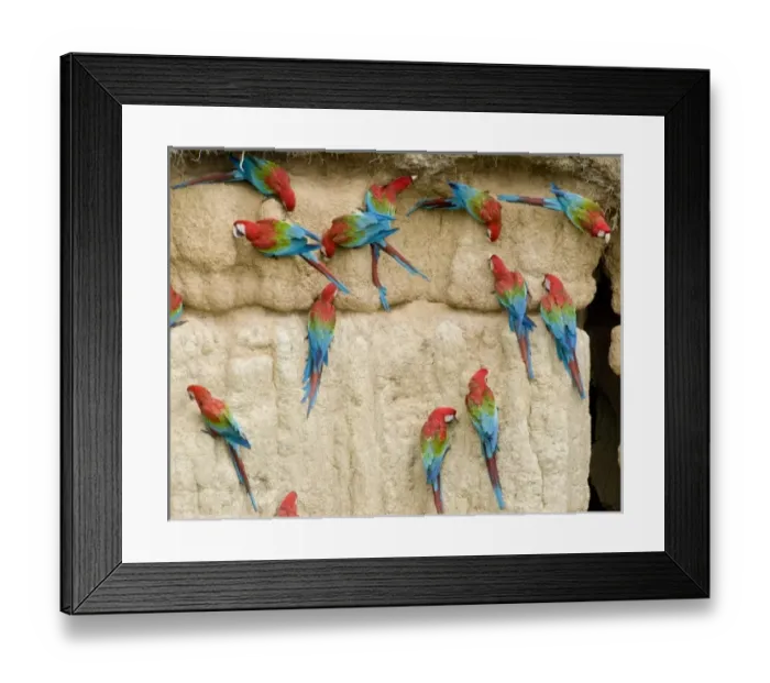 Framed Print : South America, Peru