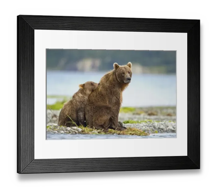 Framed Print : USA, North America, Alaska Framed Print : USA, North America, Alaska