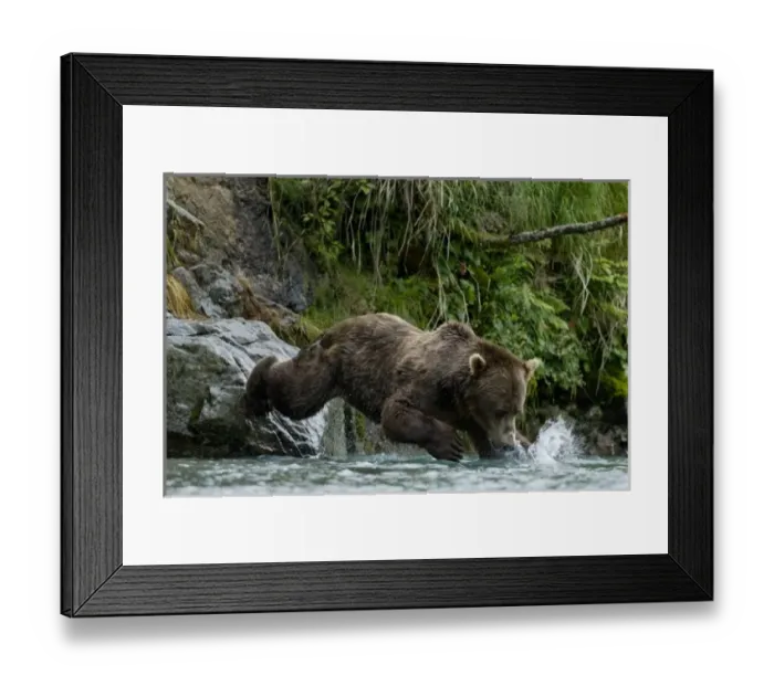 Framed Print : USA, North America, Alaska
