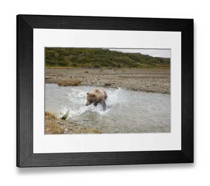 Framed Print : USA, North America, Alaska