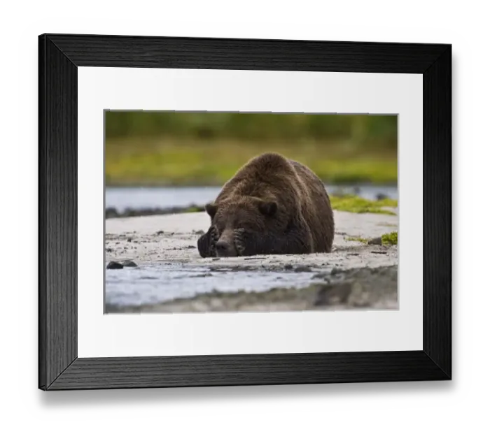 Framed Print : USA, North America, Alaska Framed Print : USA, North America, Alaska