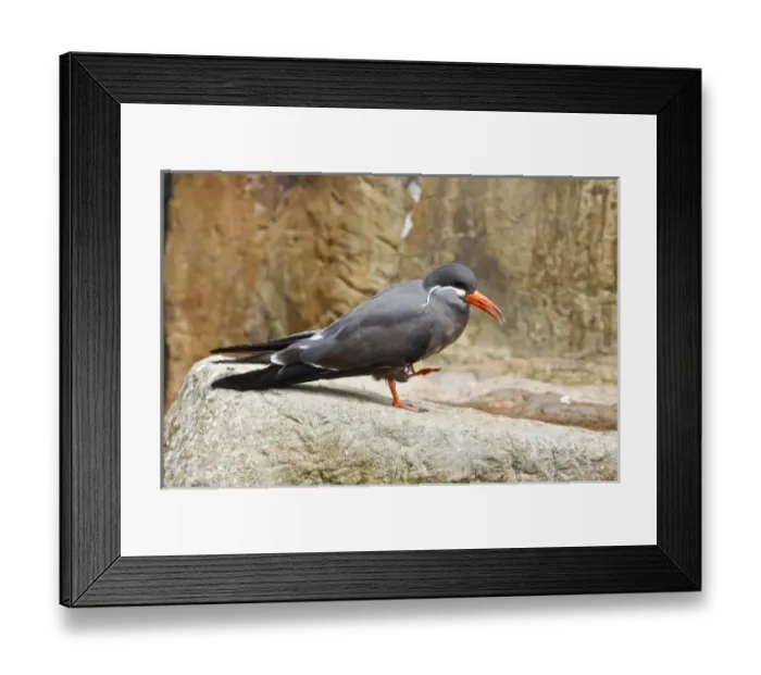 Framed Print : South America, Peru Framed Print : South America, Peru