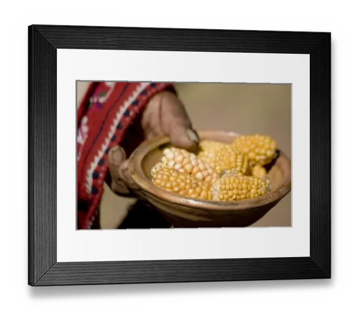 Framed Print : South America, Peru