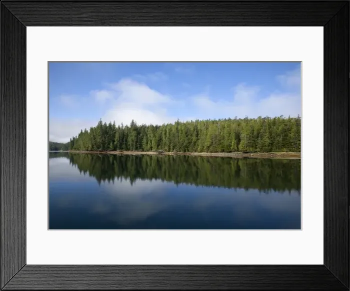 Framed Print : USA, Alaska. Outside of Ketchikan in Southeastern Alaska Framed Print : USA, Alaska. Outside of Ketchikan in Southeastern Alaska