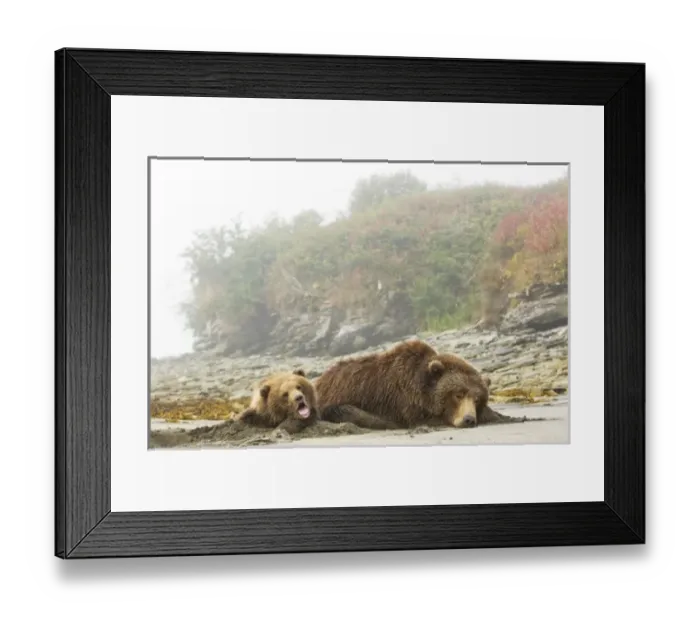 Framed Print : USA, North America, Alaska