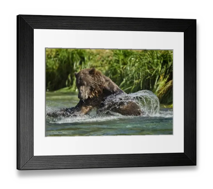 Framed Print : USA, North America, Alaska Framed Print : USA, North America, Alaska