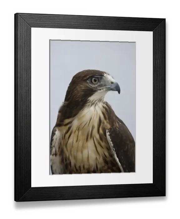 Framed Print : USA, North America, Alaska