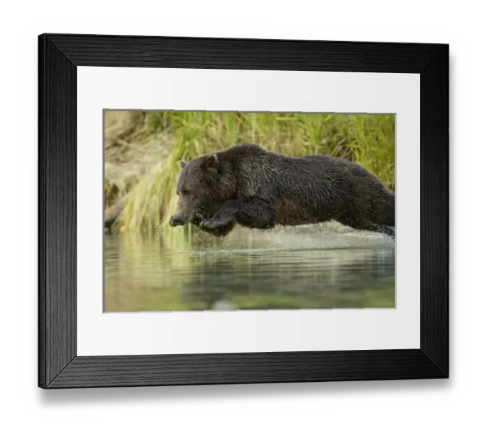 Framed Print : USA, North America, Alaska Framed Print : USA, North America, Alaska