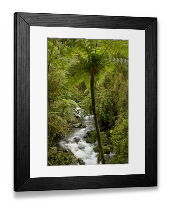 Framed Print : Central America, Costa Rica Framed Print : Central America, Costa Rica