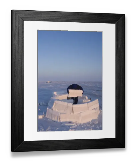 Framed Print : inupiat guide Bruce Inglangasak building an igloo snow blind, along the Arctic coast Framed Print : inupiat guide Bruce Inglangasak building an igloo snow blind, along the Arctic coast