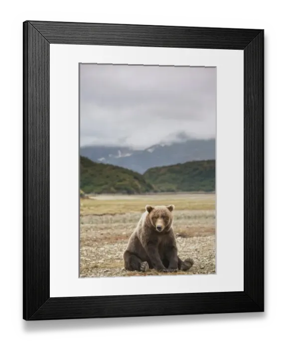 Framed Print : USA, North America, Alaska